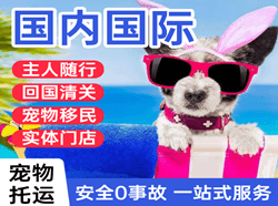 佳木斯空运公司国际宠物托运 【国